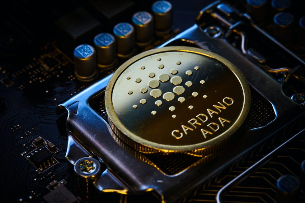 Cardano NFT Volume Hits New ATH Rising Over 300%