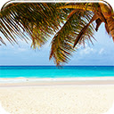 Caribbean Blue
 Free Chrome Themes Download