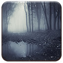 Dark Forest
 Free Chrome Themes Download