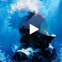 Gojo Infinity Live Wallpaper
