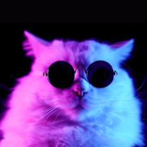Jazzy Cat Live Wallpaper New Tab