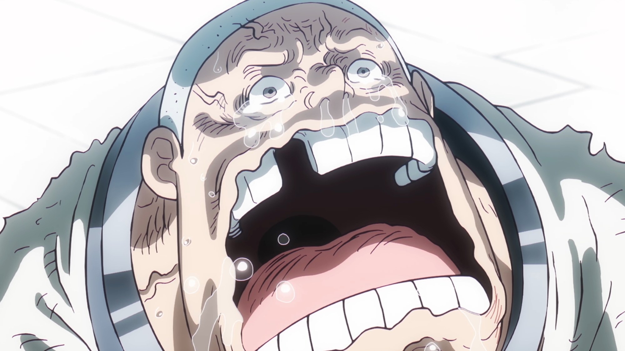 One-Piece-Kuma-Flashback-Anime-Sad.jpg