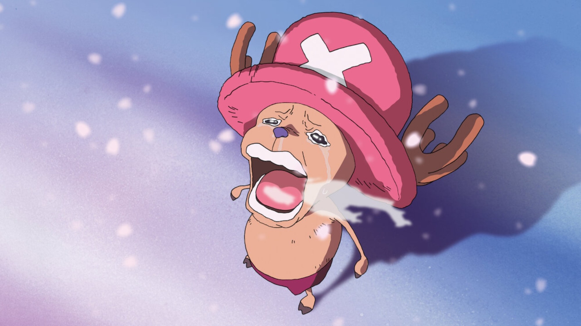 One-Piece-Chopper.jpg