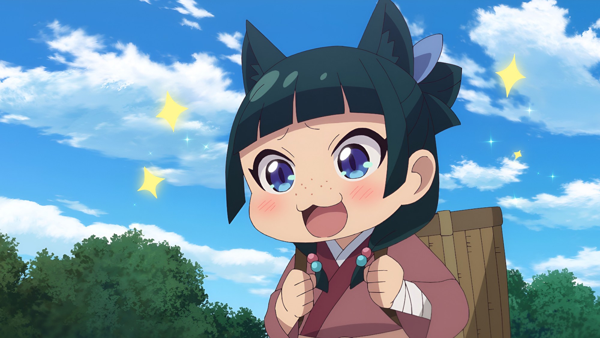 The-Apothecary-Diaries-Maomao-Anime.jpeg