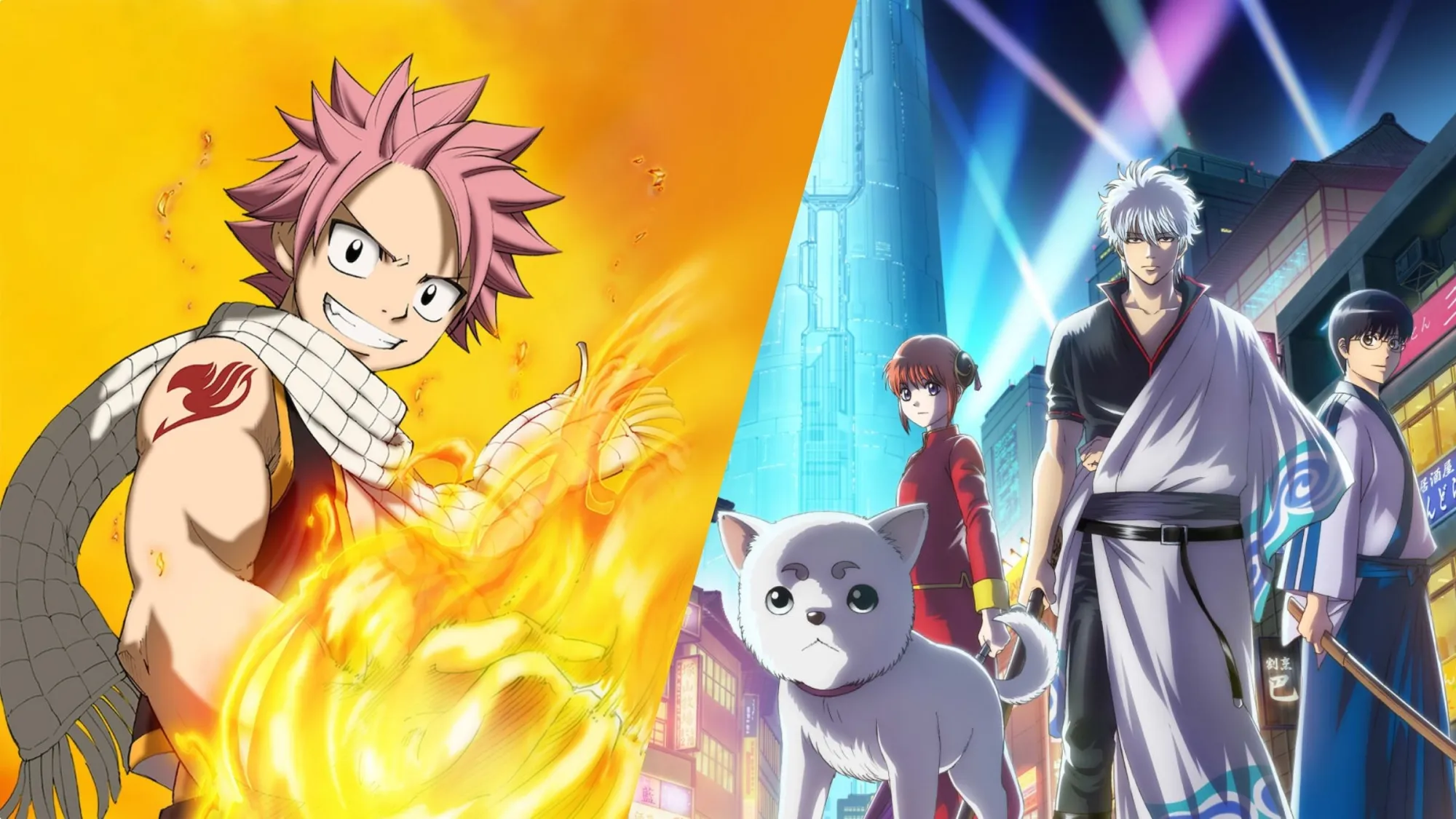 Anime-Series-Terrible-for-Beginners.jpg