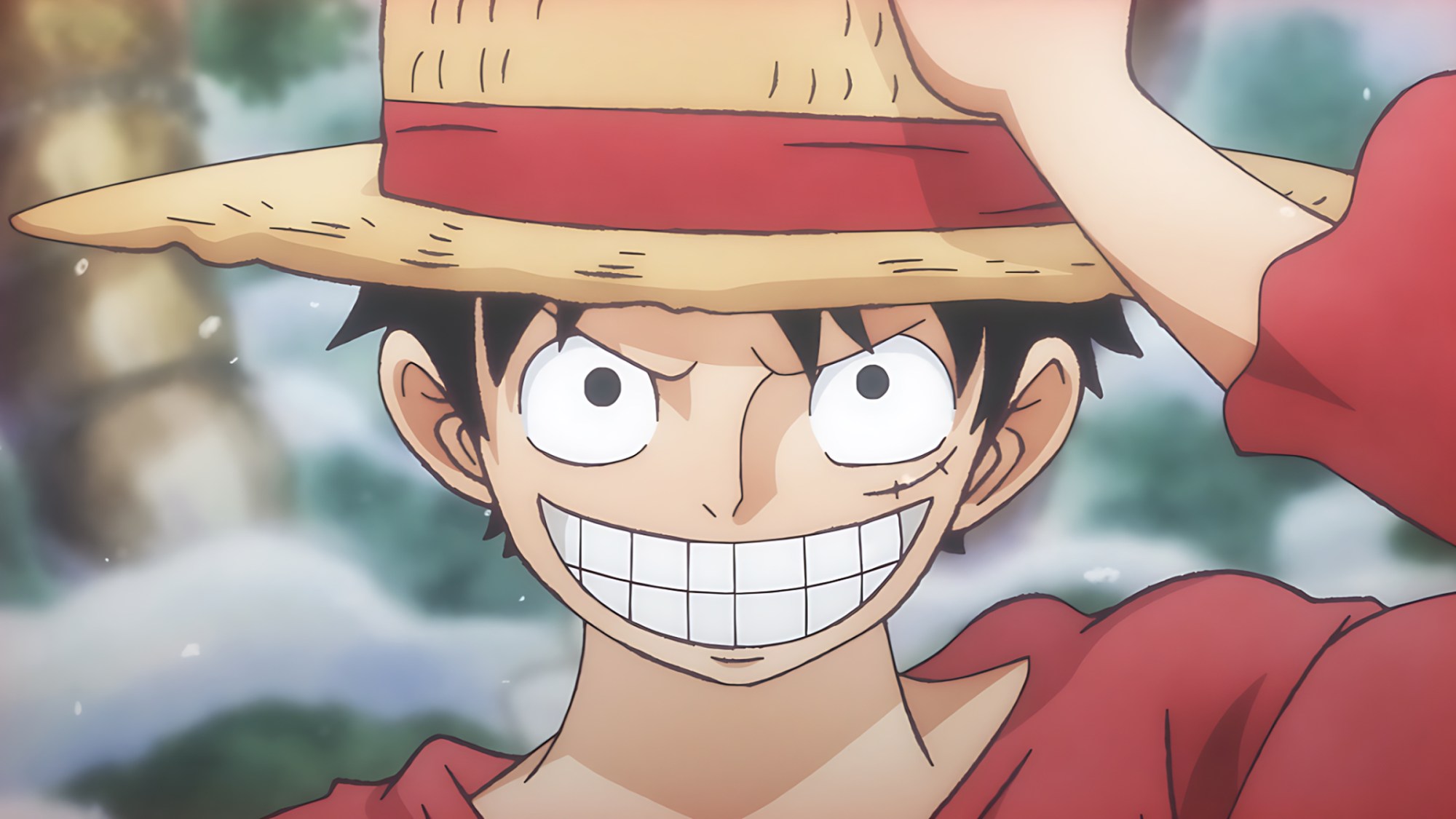 One-Piece-Luffy-Sabaody.jpeg