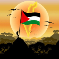 Free Palestine Live Wallpaper