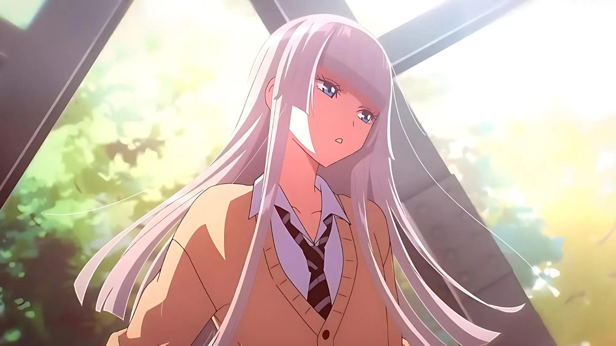 Wandance-Hikari-Wanda.jpeg Wandance-Hikari-Wanda.jpeg